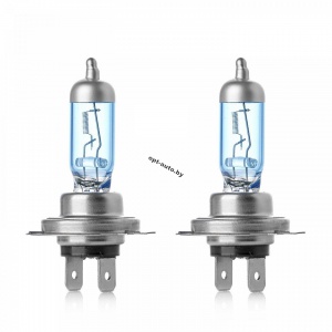 Автолампы Clearlight HB3 12V-60W LongLife (ML9005LL)